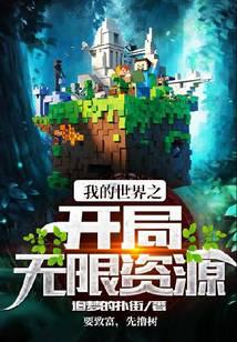 我的世界之开局无限资源