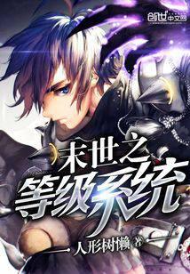 末世之等级系统