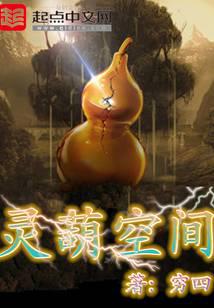 灵葫空间