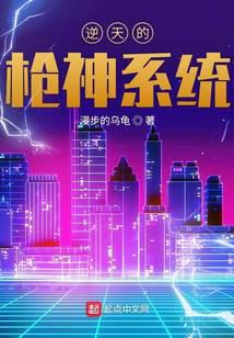 逆天的枪神系统