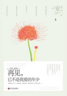 再见，已不是我要的年少
