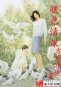 暖色情深