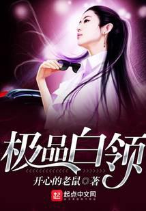 极品白领