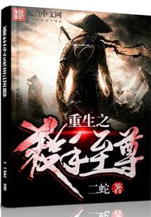 重生之杀手至尊
