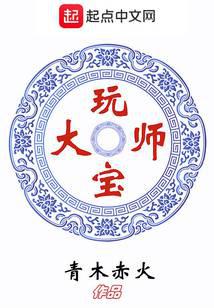 玩宝大师