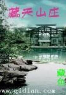 藏天山庄