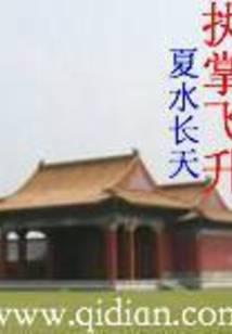 执掌飞升