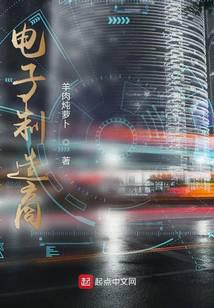 电子制造商