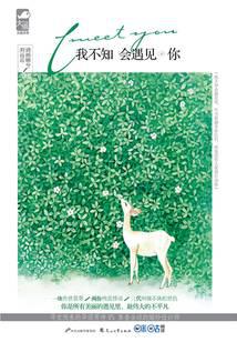 我不知会遇见你