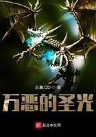 万恶的圣光