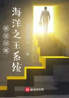被迫加载海洋之王系统