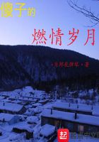 傻子的燃情岁月