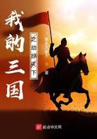 我的三国之劫掠天下