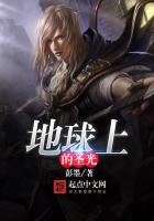 地球上的圣光之美漫世界