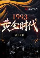 1993，黄金时代