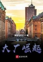 重生之大厂崛起