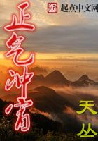 正气冲宵