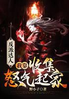 反派达人：我靠收集怒气起家