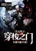 次元界之穿梭之门