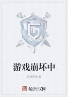 游戏崩坏中