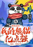 神级选择：我的熊猫亿点强