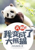 天啊！我变成了大熊猫