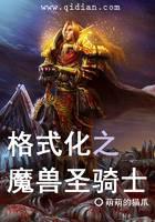 格式化之魔兽圣骑士
