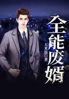 全能废婿