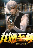 龙婿至尊