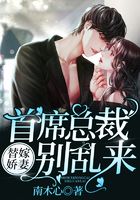 替嫁娇妻：首席总裁别乱来