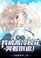 重生：我被高冷校花哭着倒追！