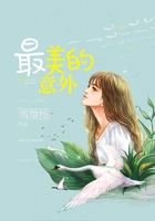 最美的意外