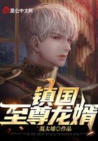 镇国至尊龙婿