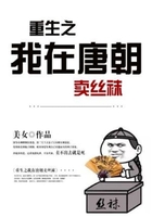 重生之我在唐朝卖丝袜