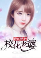 我的绝色校花老婆