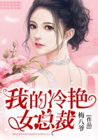 我的冷艳女总裁