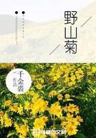 野山菊