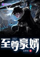至尊豪婿
