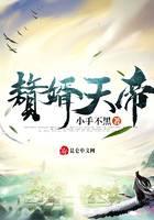 赘婿天帝