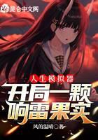 人生模拟器：开局一颗响雷果实