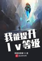 我能提升lv等级