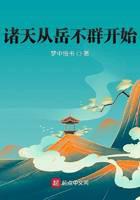 诸天从岳不群开始