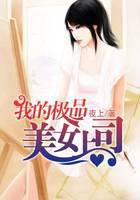 我的极品美女上司