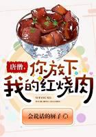 唐僧，你放下我的红烧肉