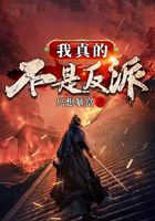 我真的不是反派