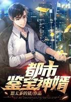 都市鉴宝神婿