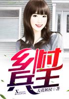 乡村兵王