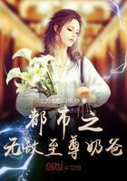 都市之无敌至尊奶爸