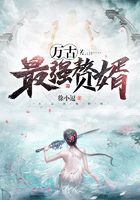 万古最强赘婿