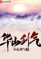 华山剑气